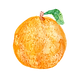 梨.png