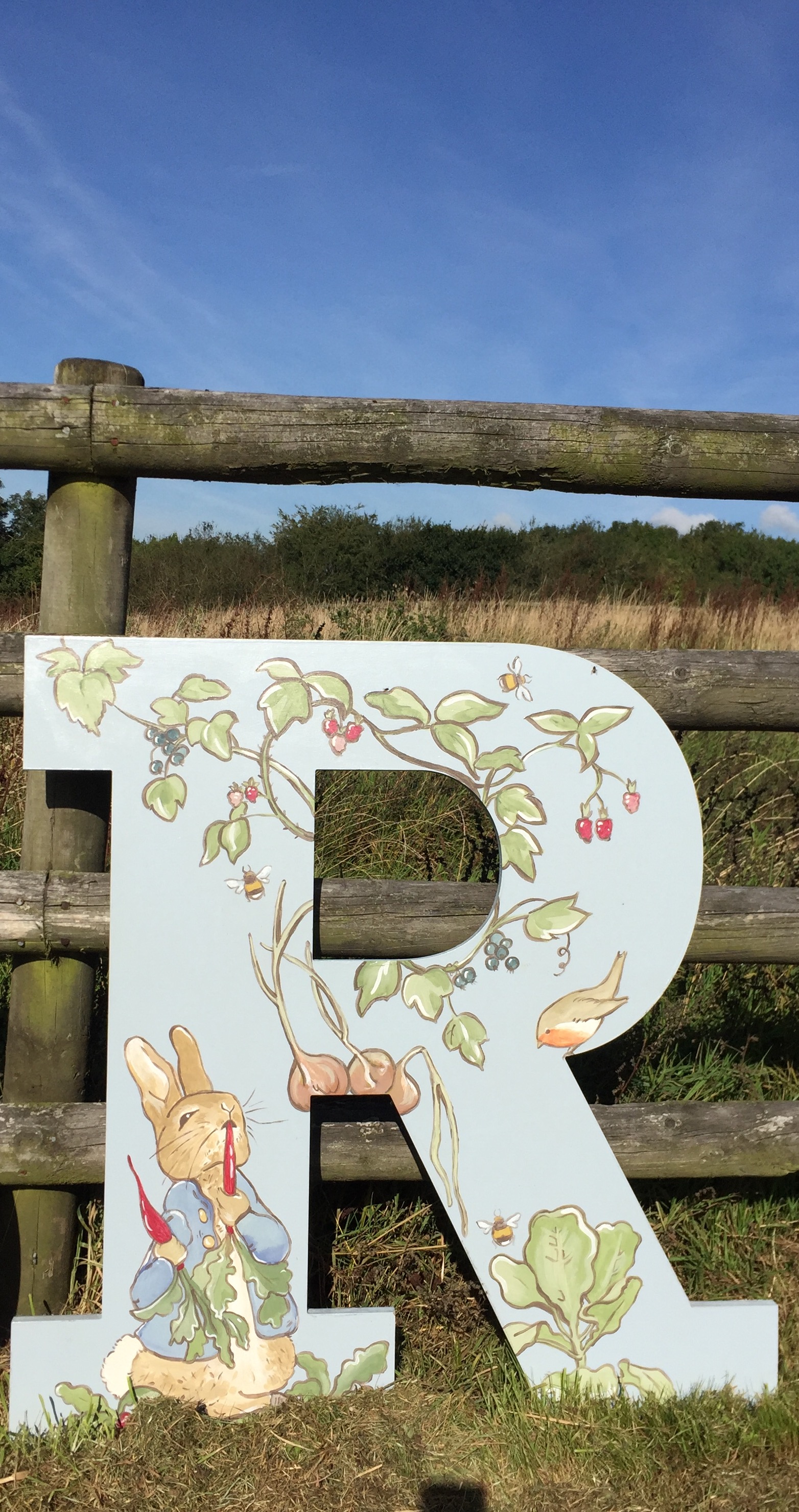 R in Peter Rabbit design
