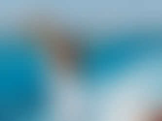 “Bodas en otro país: tips para transportar tu vestido de novia