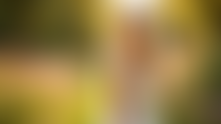 Cómo ahorrar en tu vestido de novia sin perder elegancia