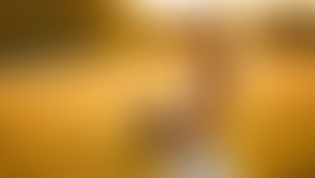 Promoción Especial Temporada de Bodas en CEREMONIOSA.COM