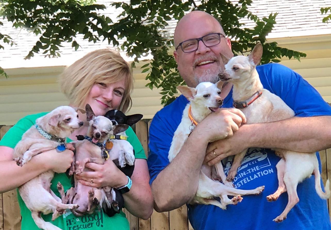 Two people holding rescued small dogs outdoors