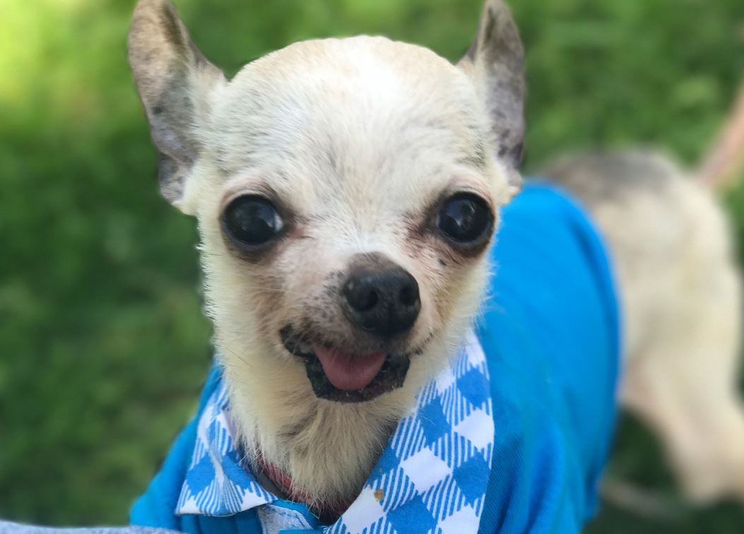 Deeby outside in his blue outfit