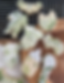greenery cookies.png