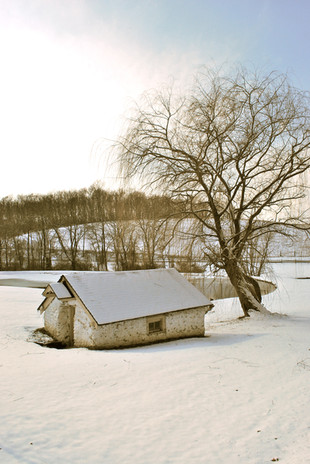 DSC_0110.jpeg