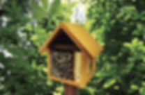 wild_bee_motel_-_crown_bees_full_width.j