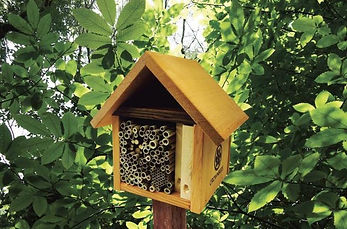 wild_bee_motel_-_crown_bees_full_width.j