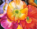 poppies 2020.jpg