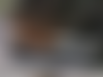 Entre a civilidade e a barbárie