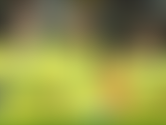 Seleção brasileira feminina de futebol faz mais um amistoso antes da Copa América