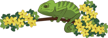 endormi_sur_branche.png