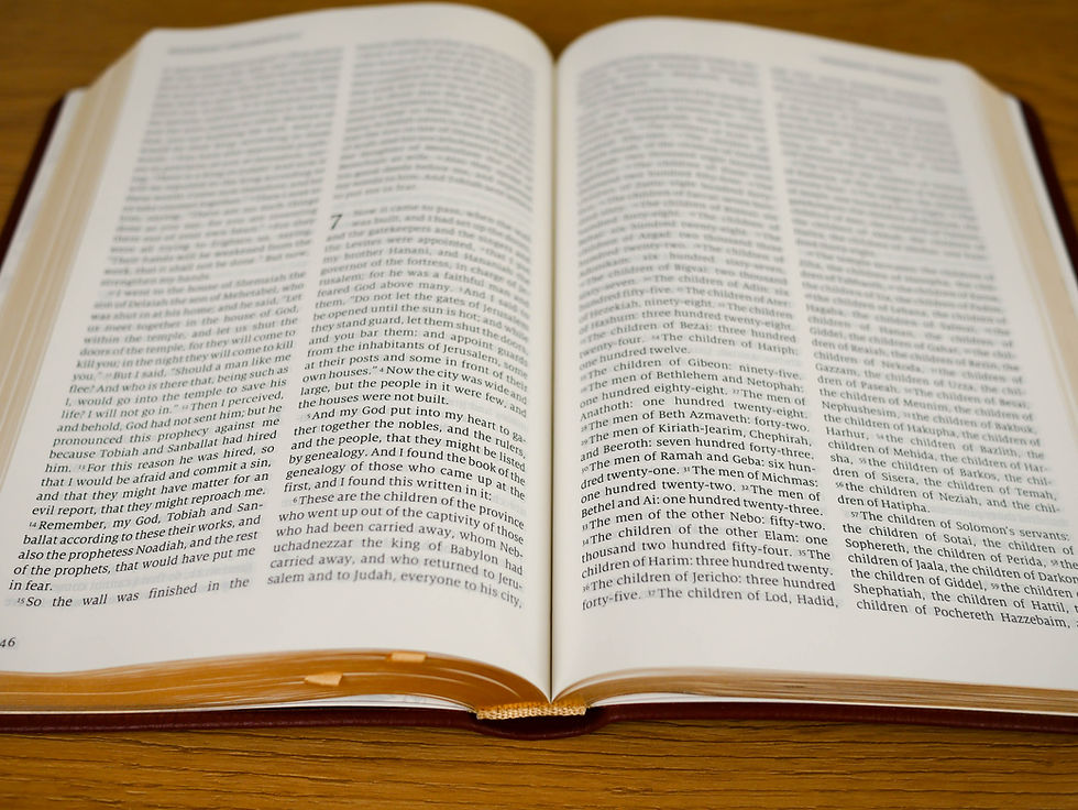 Thumbnail: Calf Split Leather Brown NJV Bible