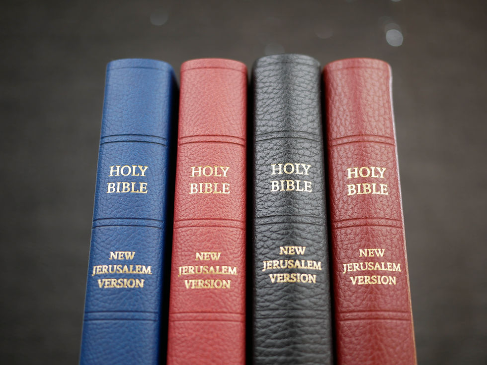 Thumbnail: Imitation Leather Brown NJV Bible