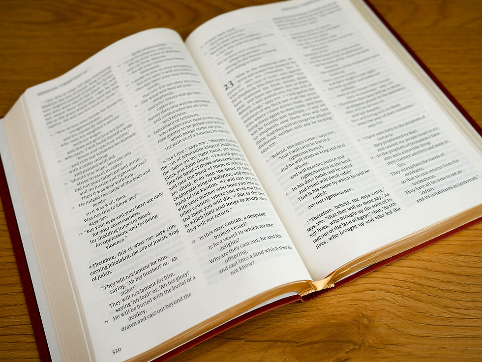 Thumbnail: Imitation Leather Brown NJV Bible
