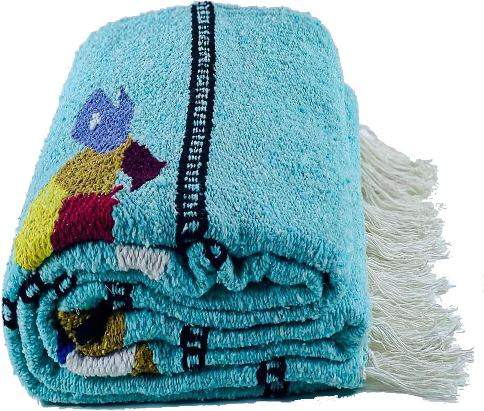 Thumbnail: Sea Turtle Mexican Blanket Ice