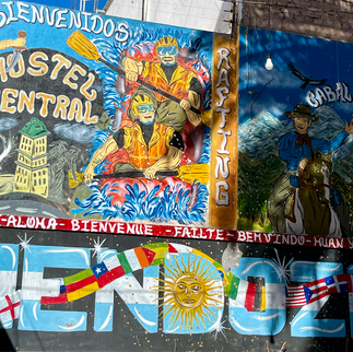 Reflecting on My Volunteer Experience in Mendoza: A Solo Journey of Self-Discovery