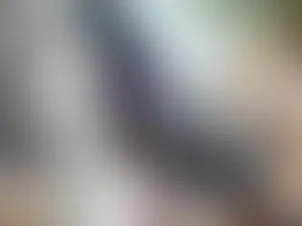 Эссе о голубях