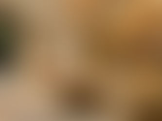 New Project Added to Work in Silicon Valley!