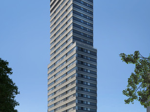 La Joie