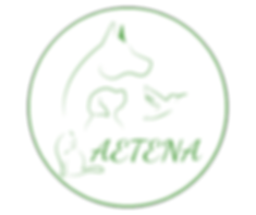 LOGO-AETENA
