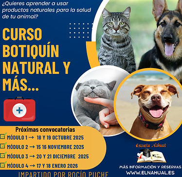 Curso botiquín natural