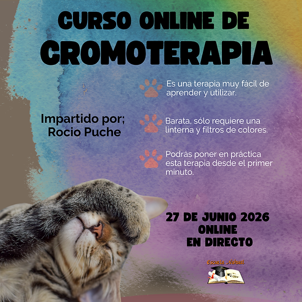 CURSO DE CROMOTERAPIA 2026.png