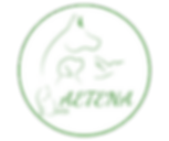 LOGO-AETENA (2).png