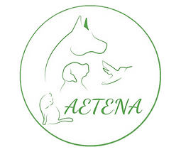 LOGO-AETENA (2).png