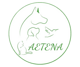 LOGO-AETENA (2).png