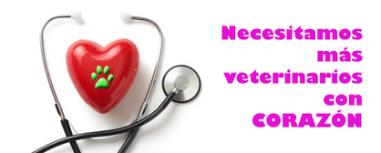 Veterinarios con corazón