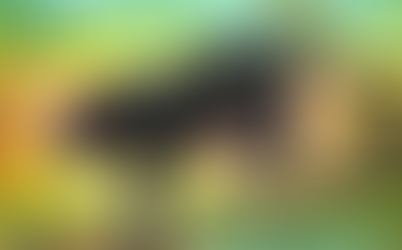 TERAPIAS ENERGÉTICAS PARA NUESTROS ANIMALES