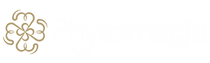 Logo rodapé.png