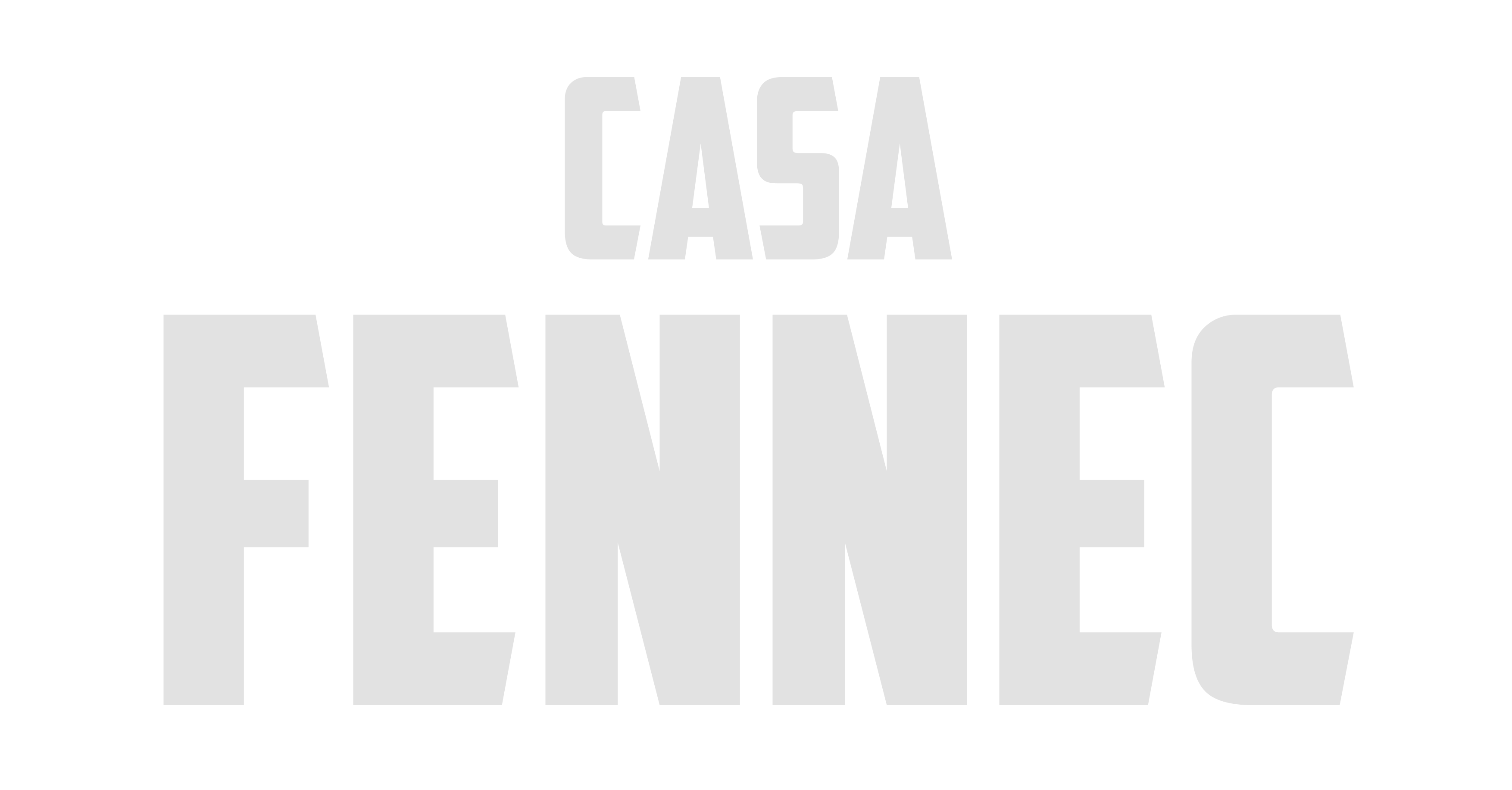 LOGO FENNEC ALTA BLANCO.png