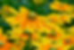 high-sun-hat-3502857_1920.jpg