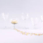 Chloe Petite Vintage Coupes