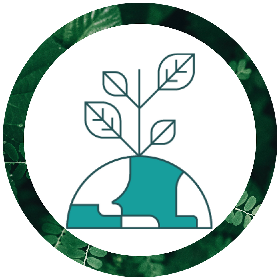 Diseño sin título.png