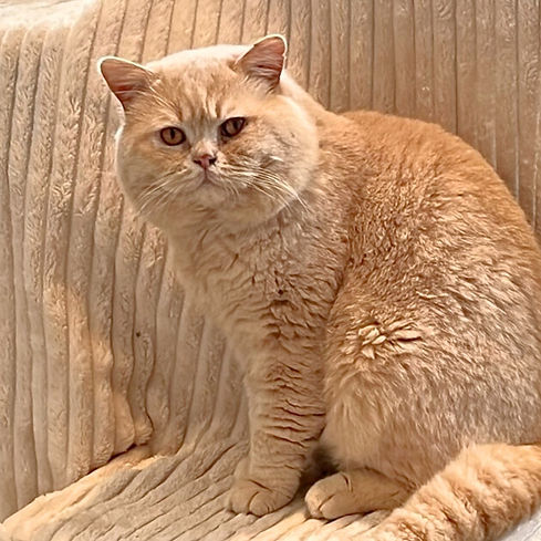 Willy – redigert.jpg