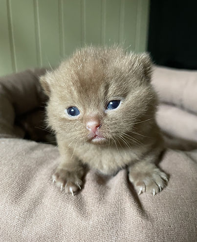 JasperBaby.JPG