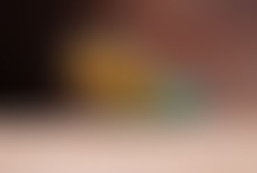 Creature Feature: Collared Lizard