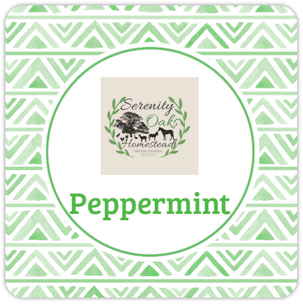 Thumbnail: Peppermint Goat Milk Lotion