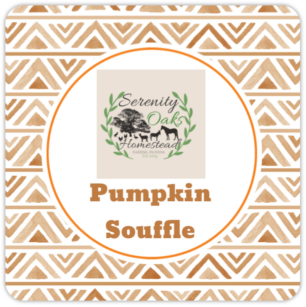 Thumbnail: Pumpkin Soufflé Goat Milk Lotion