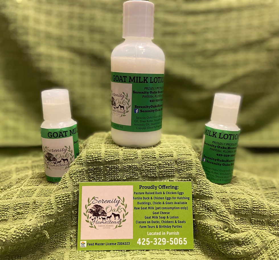 Thumbnail: Peppermint Goat Milk Lotion