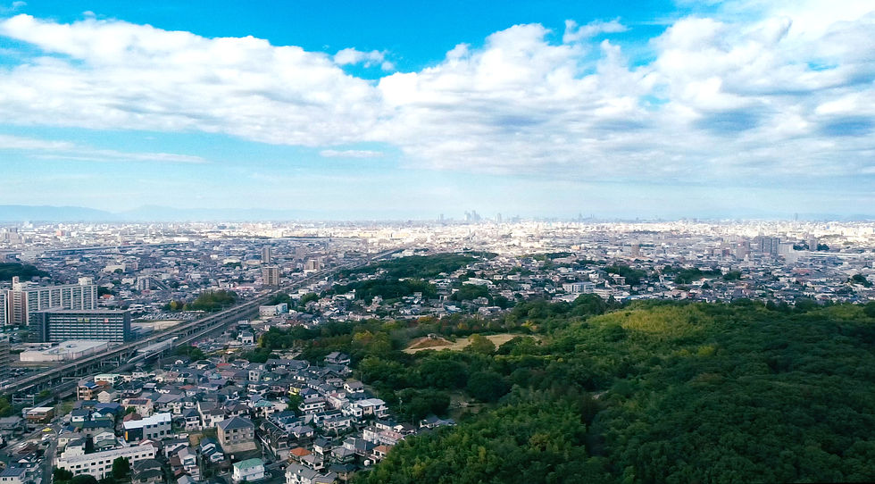 スクリーンショット 2024-07-23 11.14_edited.jpg