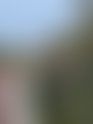 walking through the glen!