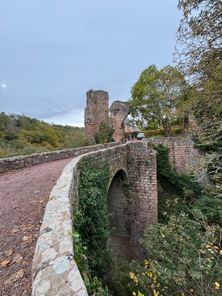 walking through the glen!