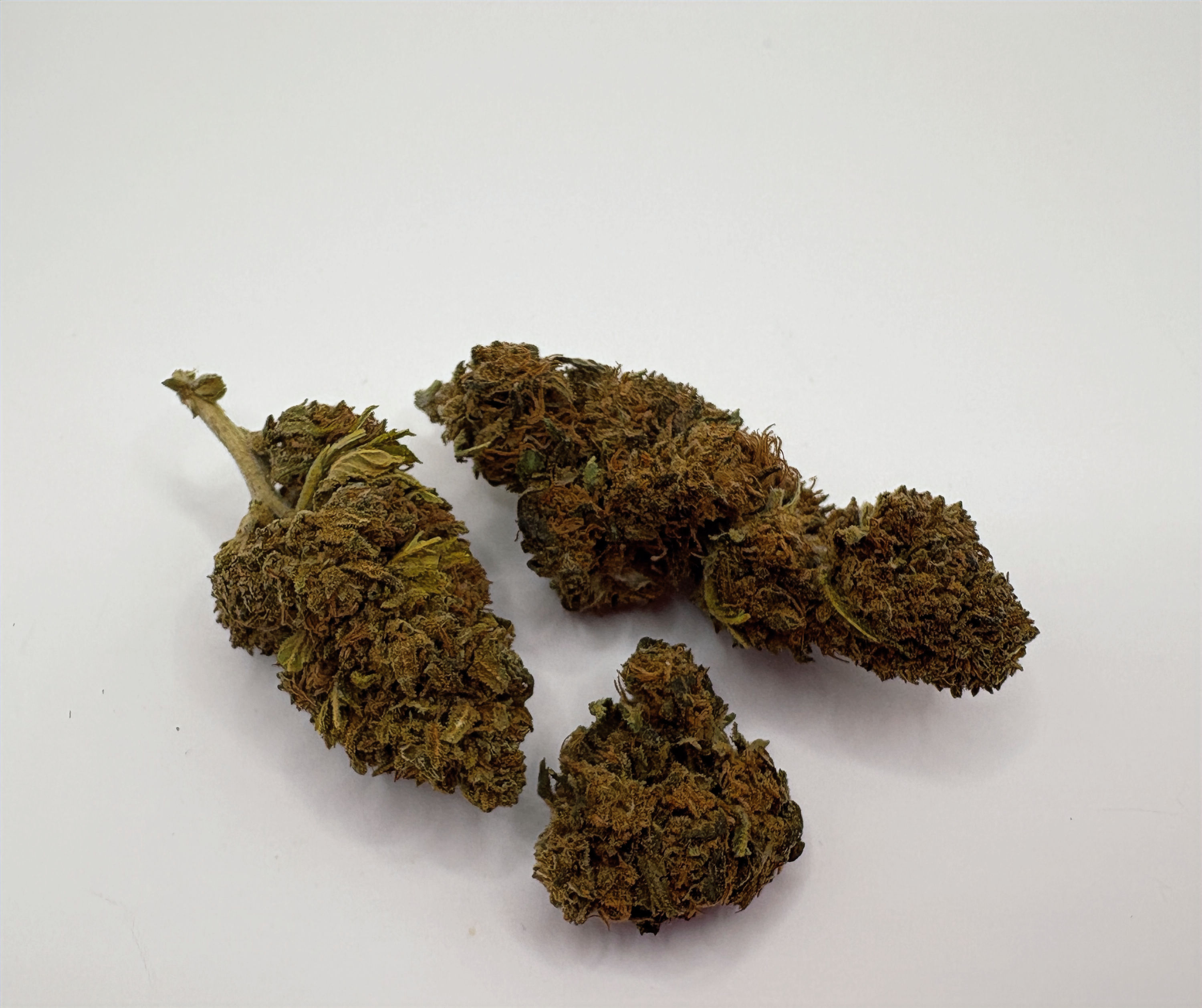 CBD-Blüten Critical Jack