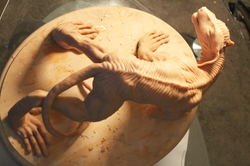 Clay Sculpture Image 7