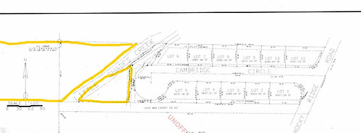 Cambridge Plat.jpg