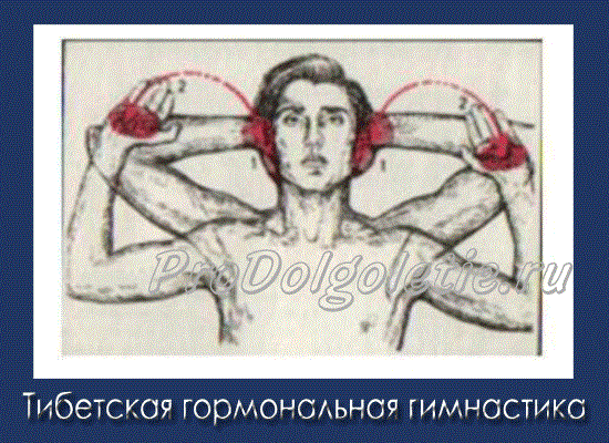 HMassage1.gif