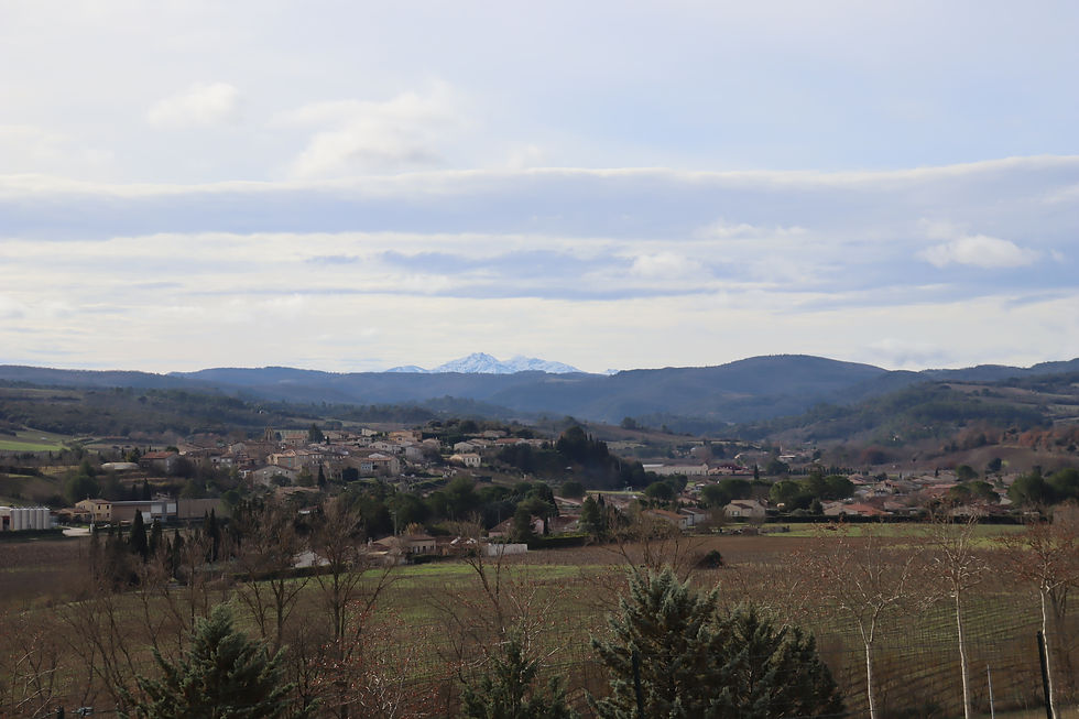 TERRAIN A BATIR LIMOUX DE 2500m²